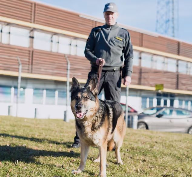 Säkerhetsföretag  så skapar du trygghet runt människor, lokaler och verksamhet